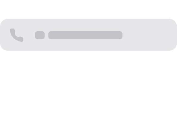 phoneInput